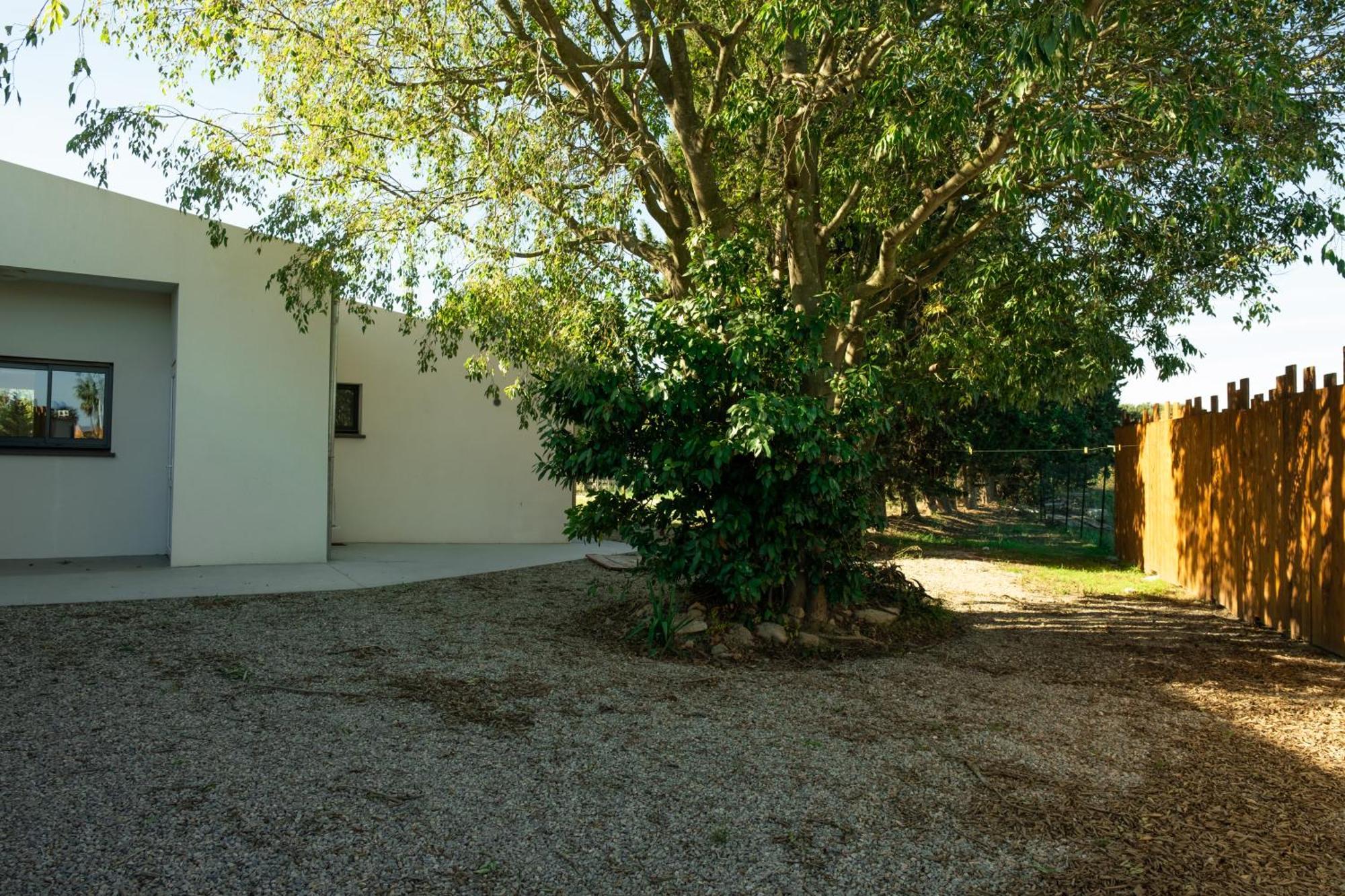 Villa Domaine Saint Thomas Argelès-sur-Mer Esterno foto