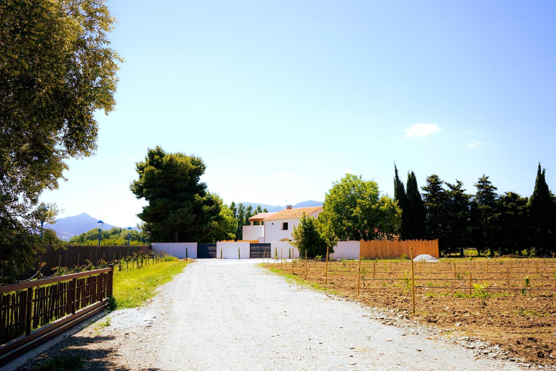 Villa Domaine Saint Thomas Argelès-sur-Mer Esterno foto